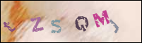 Registration Image