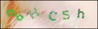 Registration Image