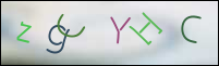 Registration Image