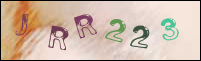 Registration Image