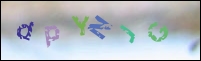 Registration Image