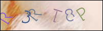 Registration Image