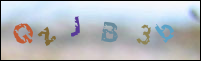 Registration Image