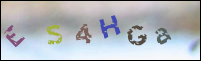 Registration Image